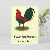 アメリカンガメコック：ブラウンレッド 招待状 (スタンド正面)