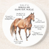 アメリカンクォーターの馬の特徴 コースター (正面)