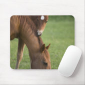 アメリカンクオーターの馬の馬とフィールドの子馬 マウスパッド (マウス)