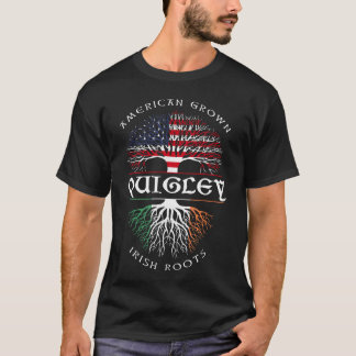 アメリカングロウンアイリッシュルーツQUIGLEYアイリッシュネーム Tシャツ