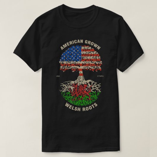 アメリカングロウンウェルシュルーツウェールズ州旗 Tシャツ (デザイン正面)