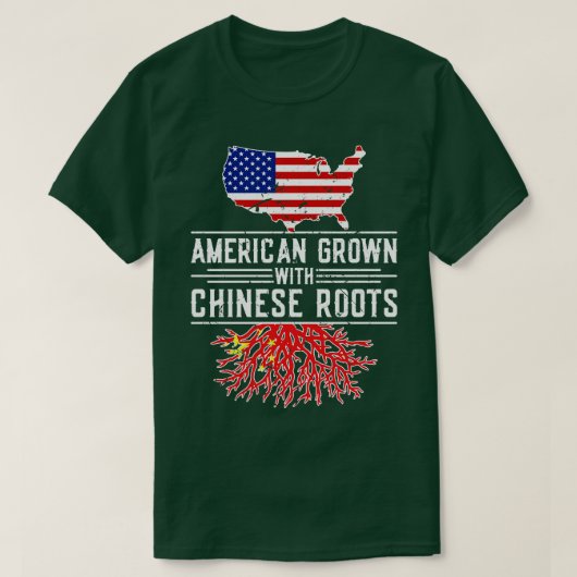 アメリカングロウン中国のドルーツプライドイタリア Tシャツ (デザイン正面)