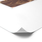 アメリカングローブフラワー – Trollius laxus ポスター (角)