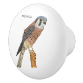 アメリカンケストレル鳥イラストレーション セラミックノブ (右)