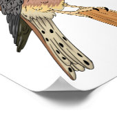 アメリカンケストレル鳥イラストレーション ポスター (角)