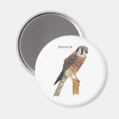 アメリカンケストレル鳥イラストレーション マグネット (正面/裏面)