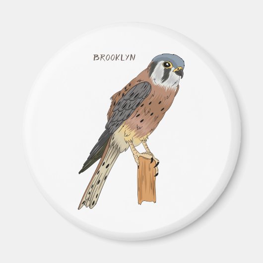 アメリカンケストレル鳥イラストレーション マグネット (正面)