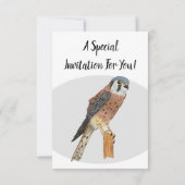 アメリカンケストレル鳥イラストレーション 招待状 (裏面)