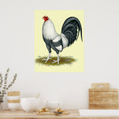 アメリカンゲームシルバーブルーガメコック ポスター (キッチン)