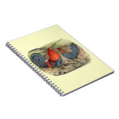 アメリカンゲームブルーレッズ ノートブック (右側)