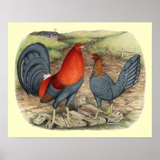 アメリカンゲームブルーレッズ ポスター (正面)