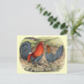 アメリカンゲームブルーレッズ ポストカード (スタンド正面)