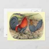 アメリカンゲームブルーレッズ ポストカード (正面/裏面)