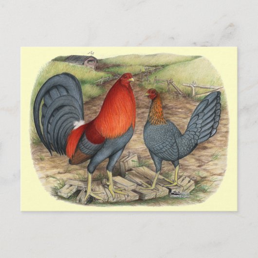 アメリカンゲームブルーレッズ ポストカード (正面)