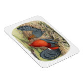 アメリカンゲームブルーレッズ マグネット (右側)