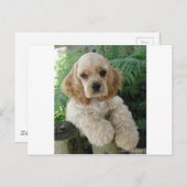 アメリカンコッカースパニエル犬ドッグとグリーンシダ ポストカード (正面/裏面)