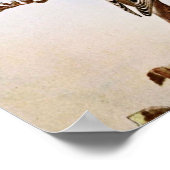 アメリカンゴールドフィンスバードイラストレーション ポスター (角)