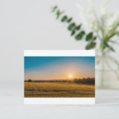 アメリカンサンセット(62) ポストカード (スタンド正面)