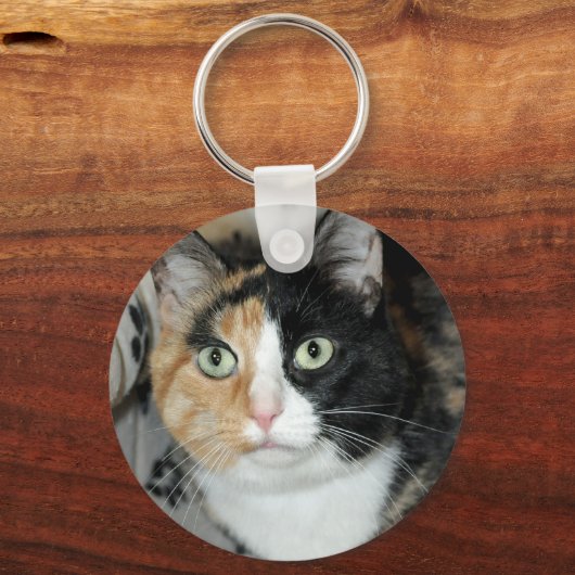 アメリカンショートエアカリコシェルターキャットキーチェーン キーホルダー (正面)