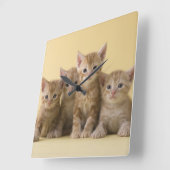 アメリカンショートヘアの子猫たち スクエア壁時計 (傾斜)