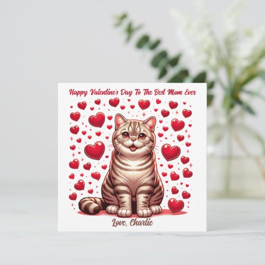 アメリカンショートヘアー猫のバレンタインデー・プール シーズンカード (スタンド正面)