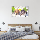 アメリカンショートヘア人気があるは、最も多く最も多い キャンバスプリント (インサイチュ (寝室))