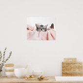 アメリカンショートヘア ポスター (キッチン)