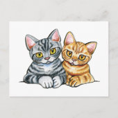 アメリカンショートヘア ポストカード (正面)