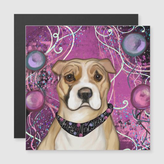 アメリカンスタッフォードシャーテリア (正面/裏面)