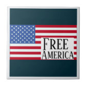 アメリカンセラミックタイル タイル (正面)