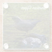 アメリカンディッパー ガラスコースター (裏面)