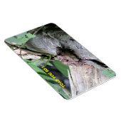 アメリカントープレミアムFlexiマグネット マグネット (右側)