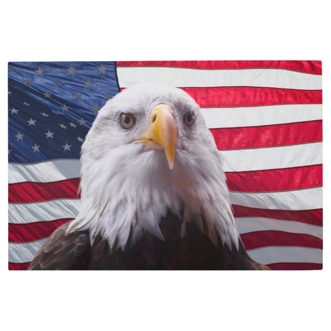アメリカンハゲワシとアメリカ国旗 メタルプリント (正面)