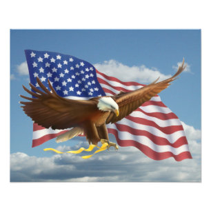 アメリカンハルドイーグルフォトプリント フォトプリント           