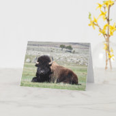 アメリカンバイソンノテカード カード (黄色い花)