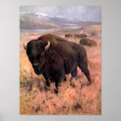 アメリカンバイソンバイCEスワン、ヴィンテージバッファロー動物 ポスター (正面)