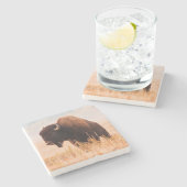 アメリカンバイソン(バイソンバイソン)Herd In Teton 2 ストーンコースター (横)