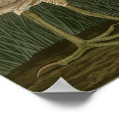 アメリカンバイタン ポスター (角)