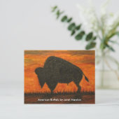 アメリカンバッファロー(バイソン) ポストカード (スタンド正面)