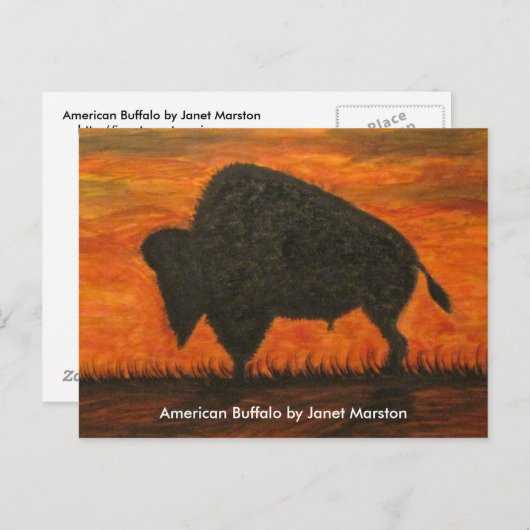 アメリカンバッファロー(バイソン) ポストカード (正面/裏面)