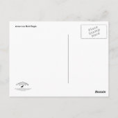 アメリカンバルトイーグル2 ポストカード (裏面)