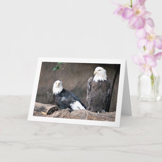 アメリカンバルドイーグルズポートレート カード (蘭)