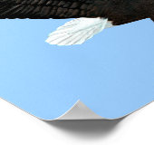 アメリカンバルドイーグルプリント ポスター (角)