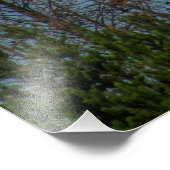 アメリカンバルドイーグル8974 フォトプリント            (角)