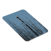 アメリカンバルドイーグル8974 マグネット (右側)