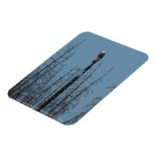 アメリカンバルドイーグル8974 マグネット (左側)