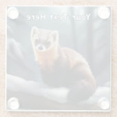 アメリカンパインマーテン ガラスコースター (裏面)