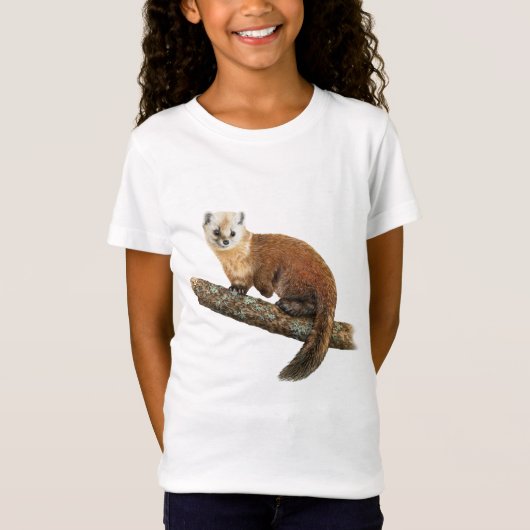 アメリカンパインマーテンTシャツ Tシャツ (正面)