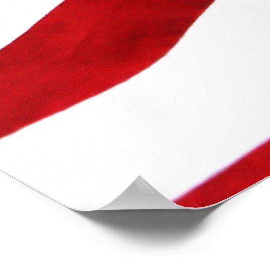 アメリカンパイ ポスター (角)