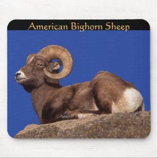 アメリカンビグーンシープマウスパッド マウスパッド